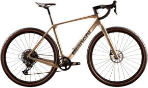 Bianchi Arcadex Comp