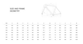 Bianchi Infinito Shimano 105 12s